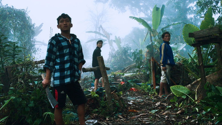 Backdrop image for movie Blood Amber