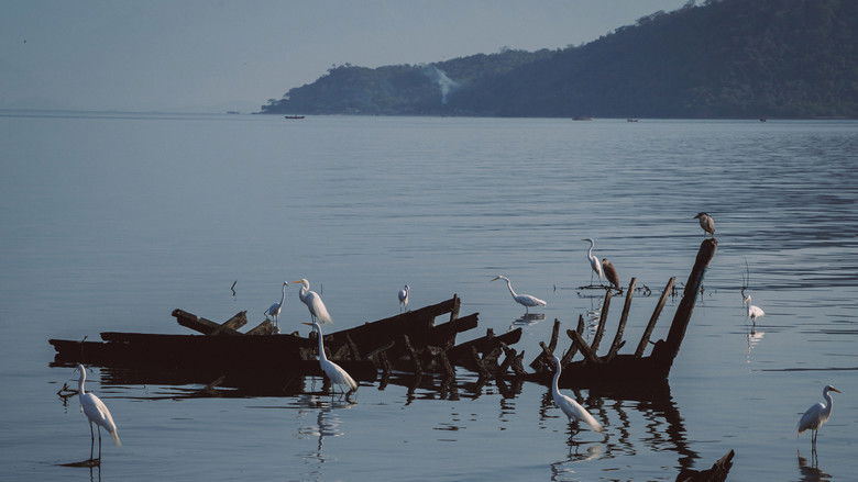 Backdrop image for movie Antes do Último Adeus