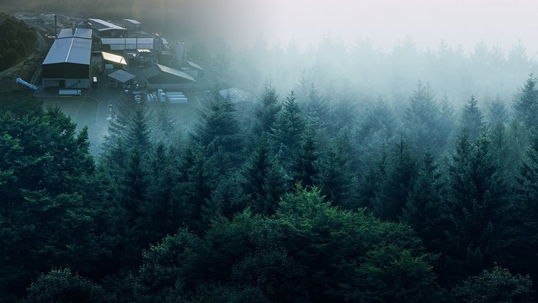 Backdrop image for movie The Power Reset