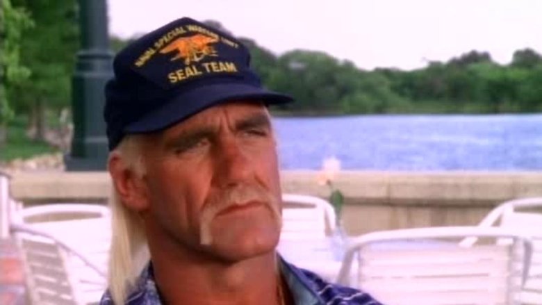 Backdrop image for movie Thunder in Paradise 3