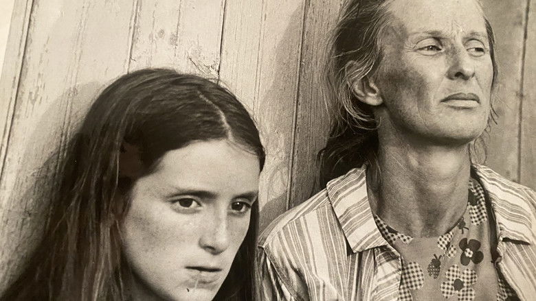 Backdrop image for movie The Migrants