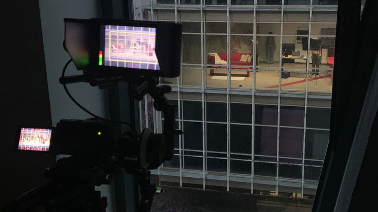 Backdrop image for movie Meow Window