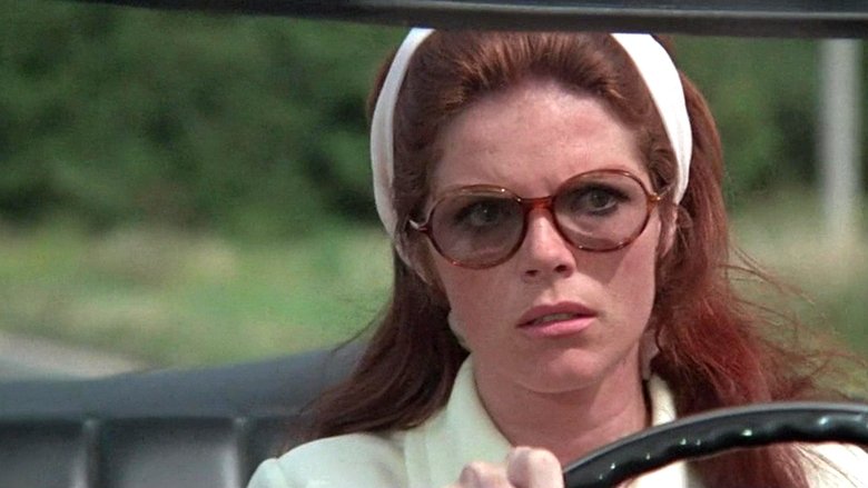Backdrop image for movie The Lady in the Car with Glasses and a Gun