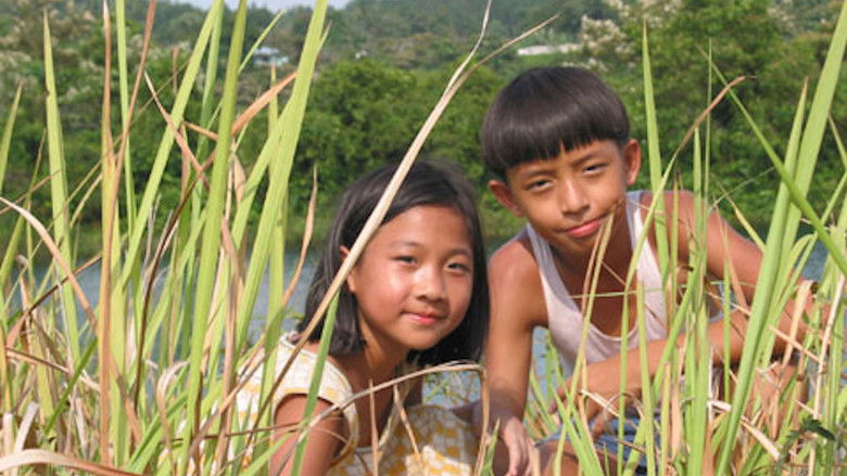 Backdrop image for movie Homerun