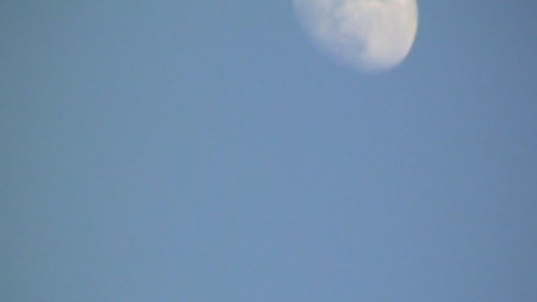 Backdrop image for movie Moonwalk