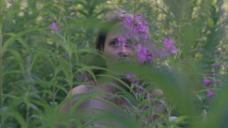 Backdrop image for movie QVIS I