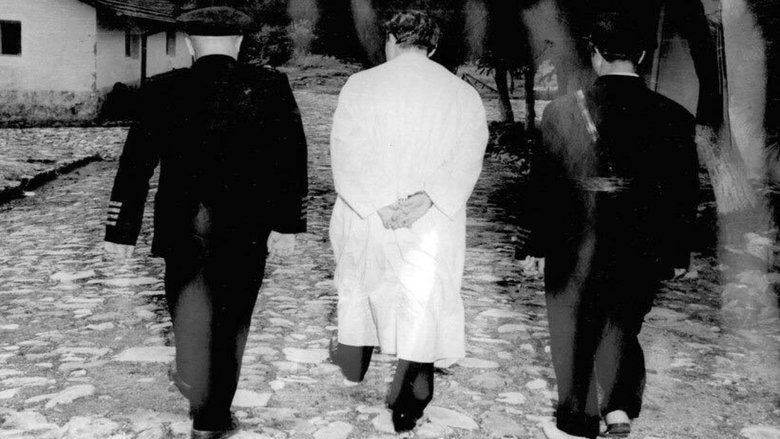 Backdrop image for movie Demirkırat: Execution