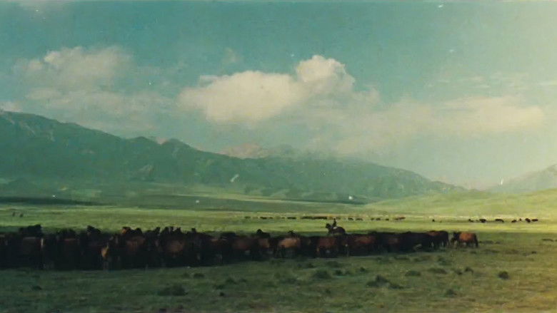 Backdrop image for movie The Herdsman