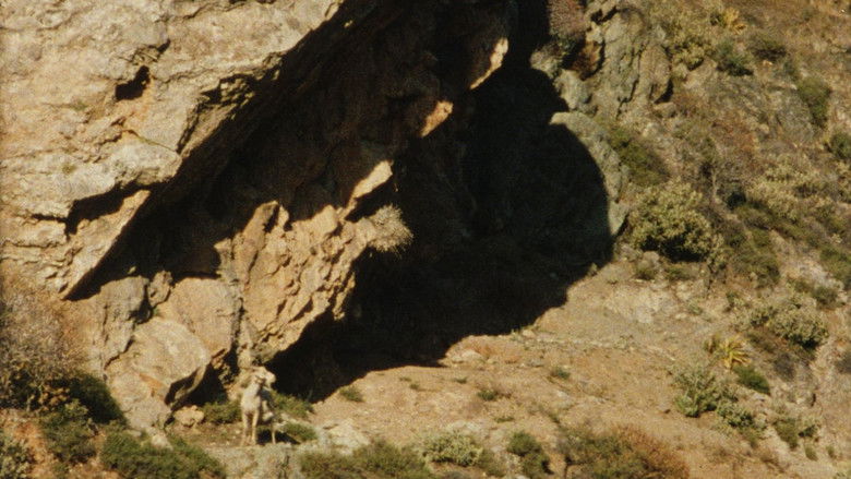 Backdrop image for movie The Ground