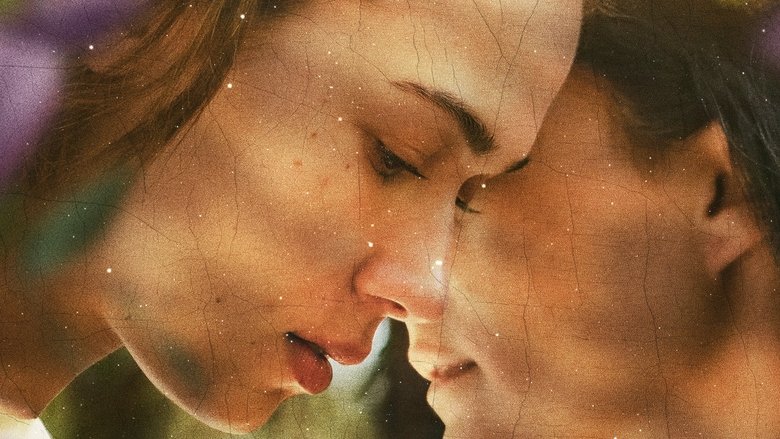 Backdrop image for movie Into the Thicket