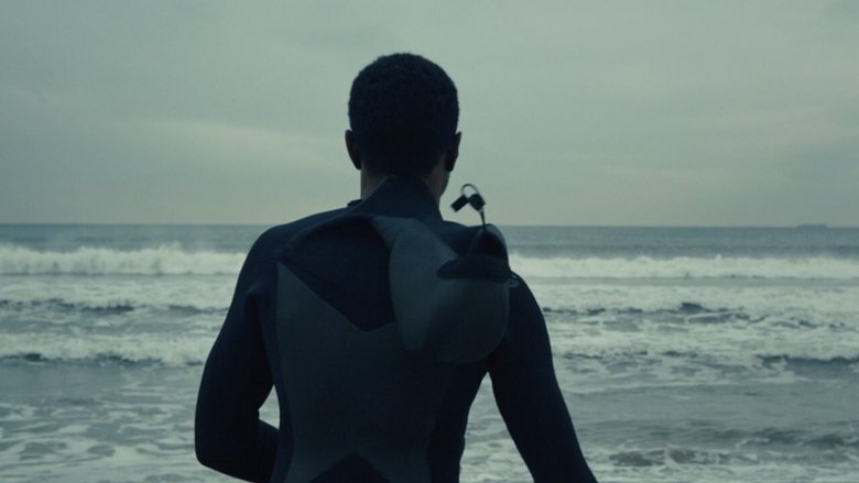 Backdrop image for movie The Surf Report