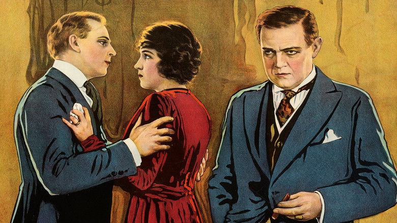 Backdrop image for movie The Third Degree