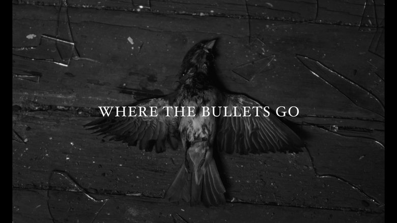 Backdrop image for movie Where the Bullets Go