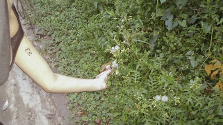 Backdrop image for movie o céu diante dos meus olhos nunca é cinza