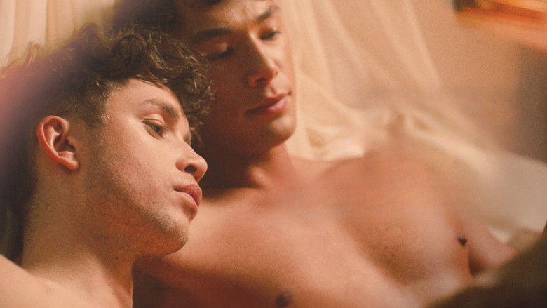 Backdrop image for movie Boys on Film 24: Happy Endings