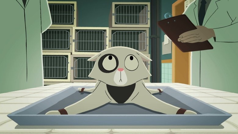 Backdrop image for movie Acoustic Kitty