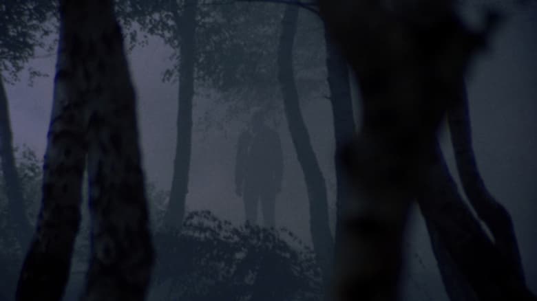 Backdrop image for movie Torso