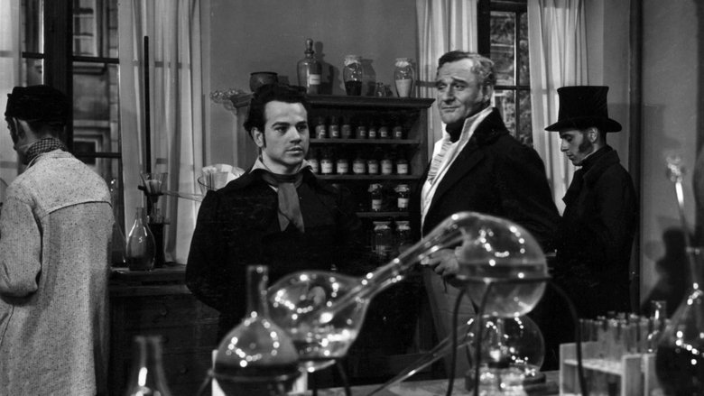 Backdrop image for movie Robert Mayer, der Arzt aus Heilbronn