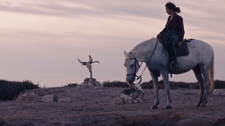 Backdrop image for movie Animale