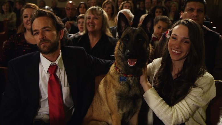 Backdrop image for movie K-9 Adventures: A Christmas Tale
