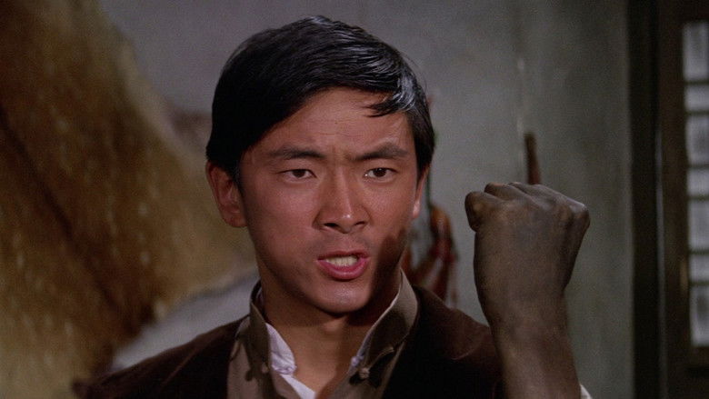 Backdrop image for movie One-Armed Boxer