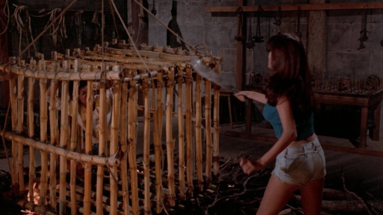 Backdrop image for movie Sweet Sugar