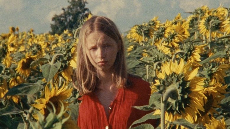 Backdrop image for movie Alice and the Sunflowers