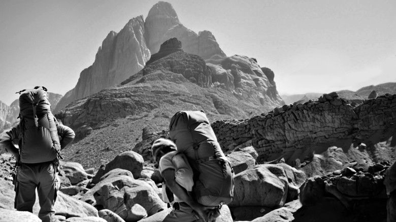 Backdrop image for movie Anatomy of a First