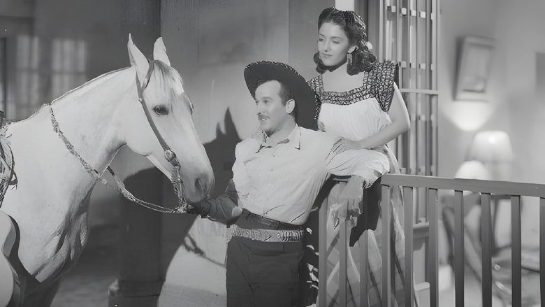 Backdrop image for movie The Black Sheep