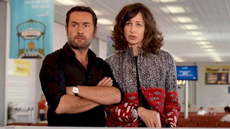 Backdrop image for movie The Ultimate Accessory