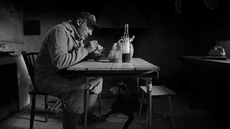 Backdrop image for movie O home e o can