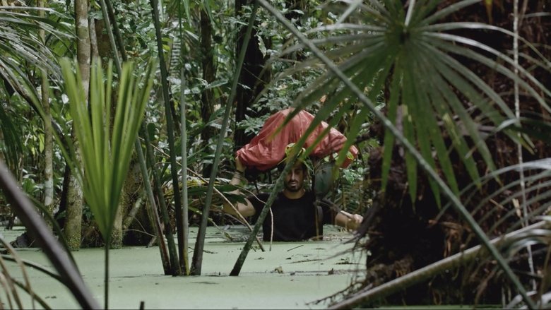 Backdrop image for movie Dark Green