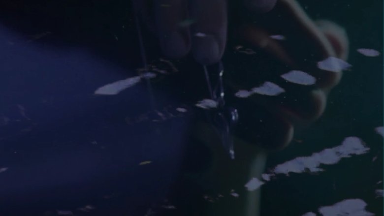 Backdrop image for movie Seeing Through the Mists of Oblivion