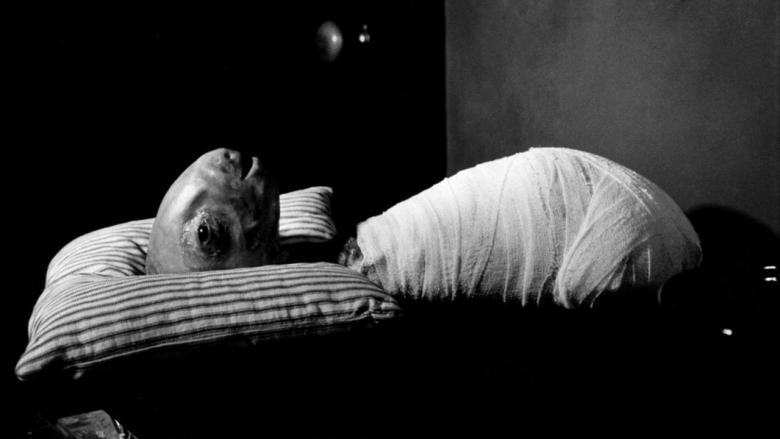 Backdrop image for movie Eraserhead