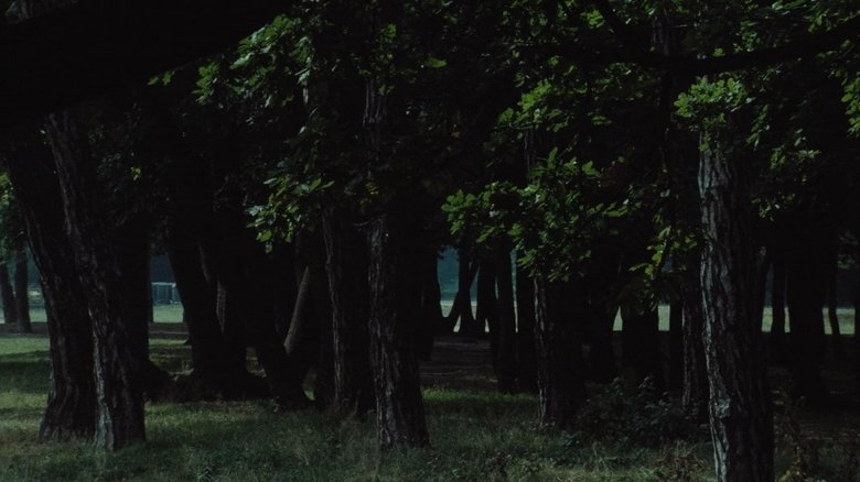 Backdrop image for movie Le Navire Night
