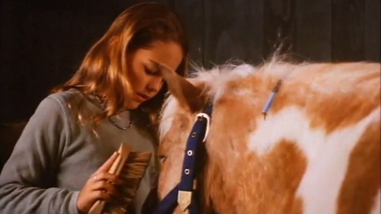 Backdrop image for movie Two Bits & Pepper