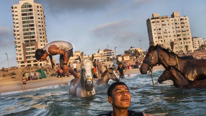 Backdrop image for movie Gaza