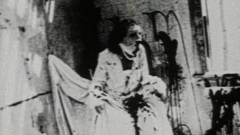 Backdrop image for movie Begotten