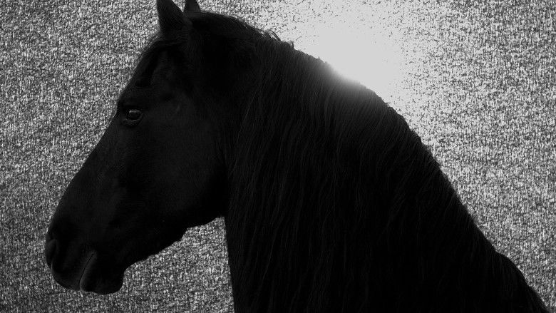 Backdrop image for movie Absent Now the Dead