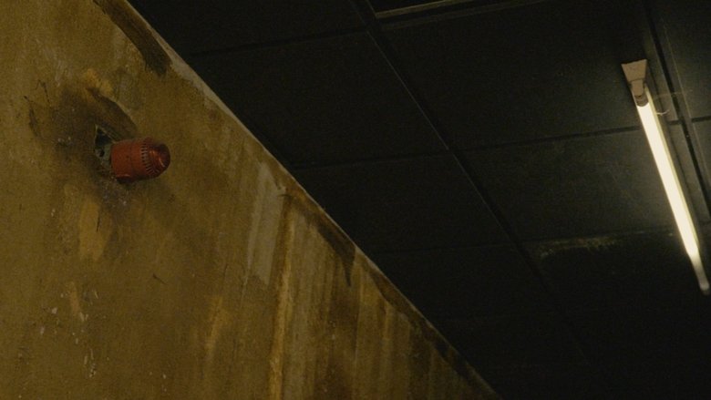 Backdrop image for movie The Last Function