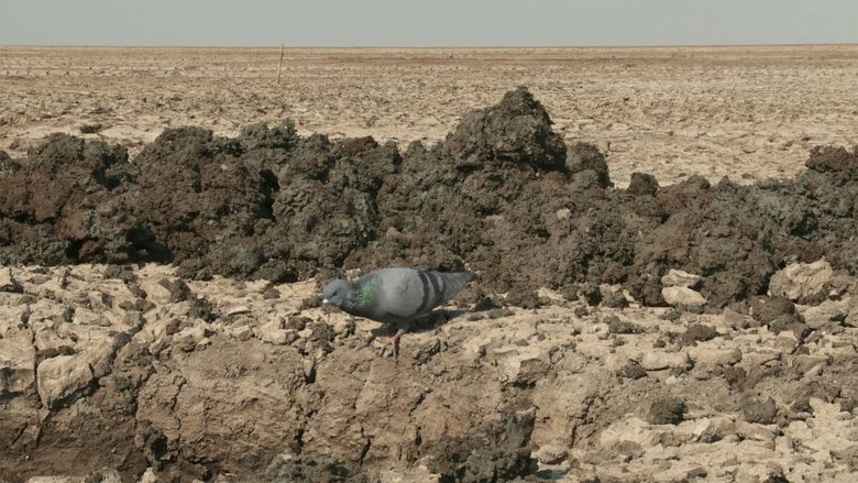 Backdrop image for movie My Name Is Salt