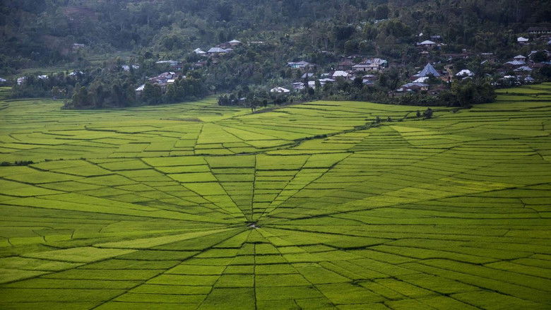 Backdrop image for movie Le Soliloque des muets