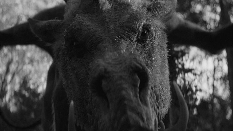 Backdrop image for movie Em & Selma Go Griffin Hunting