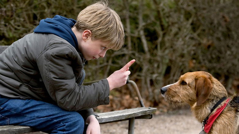 Backdrop image for movie Storm