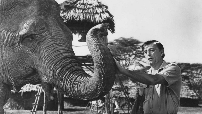 Backdrop image for movie Mister Moses