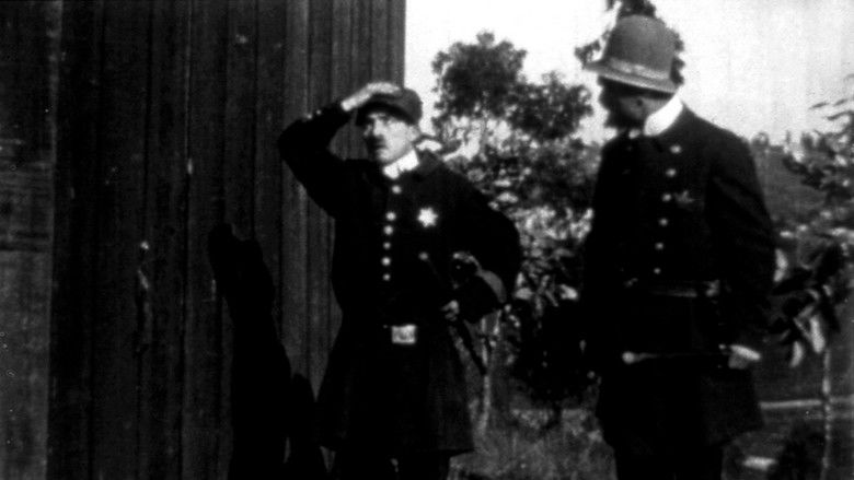 Backdrop image for movie A Thief Catcher