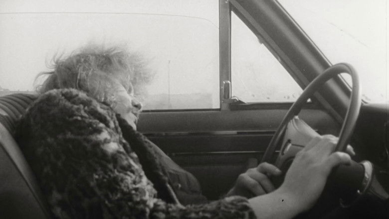 Backdrop image for movie Auf Scheisser schiesst man nicht