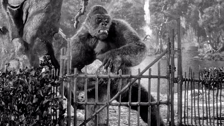 Backdrop image for movie Mighty Joe Young