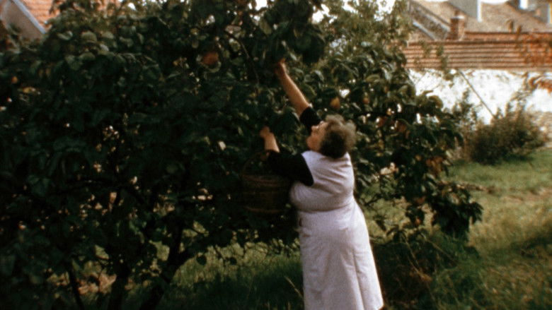 Backdrop image for movie Mémé