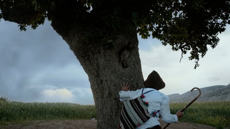 Backdrop image for movie the shepherd